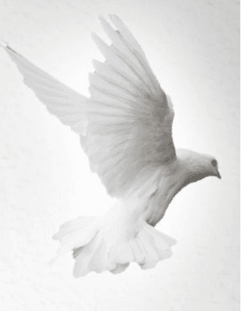 Buggie Pettry Obituary