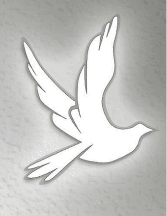 Dale Bonds Obituary