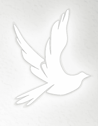 Wanless McArthur (Skip) Harvey Obituary